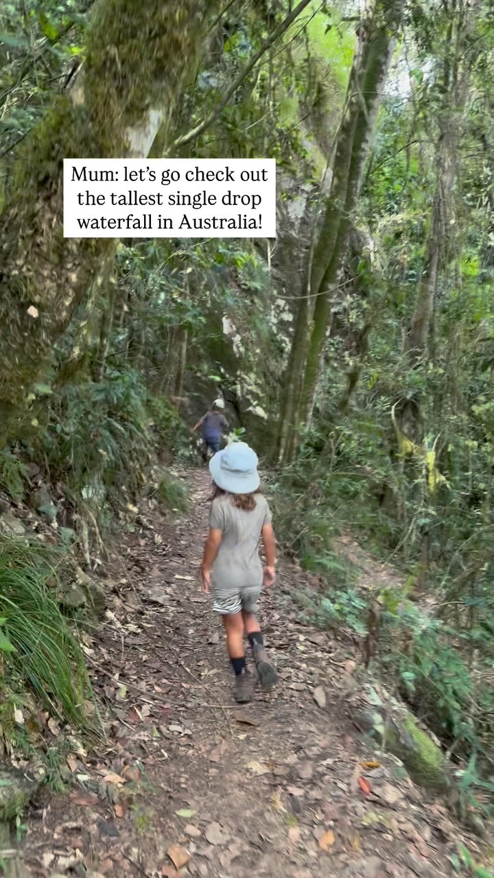Definitely one for the Australian Bucket List. It’s a decent hike to get to the bottom (and back up again), but if the hike doesn’t take your breath away the 260m waterfall absolutely will!
Pack water and snacks and make the most of your time at the bottom.
📍Wallaman Falls, QLD Australia.
#waterfall #waterfallsofqueensland #biggestwaterfallinaustralia #tourismqueensland #visitaustralia #visitqueensland #travel #roadtrip #travelfamily #diewithzero