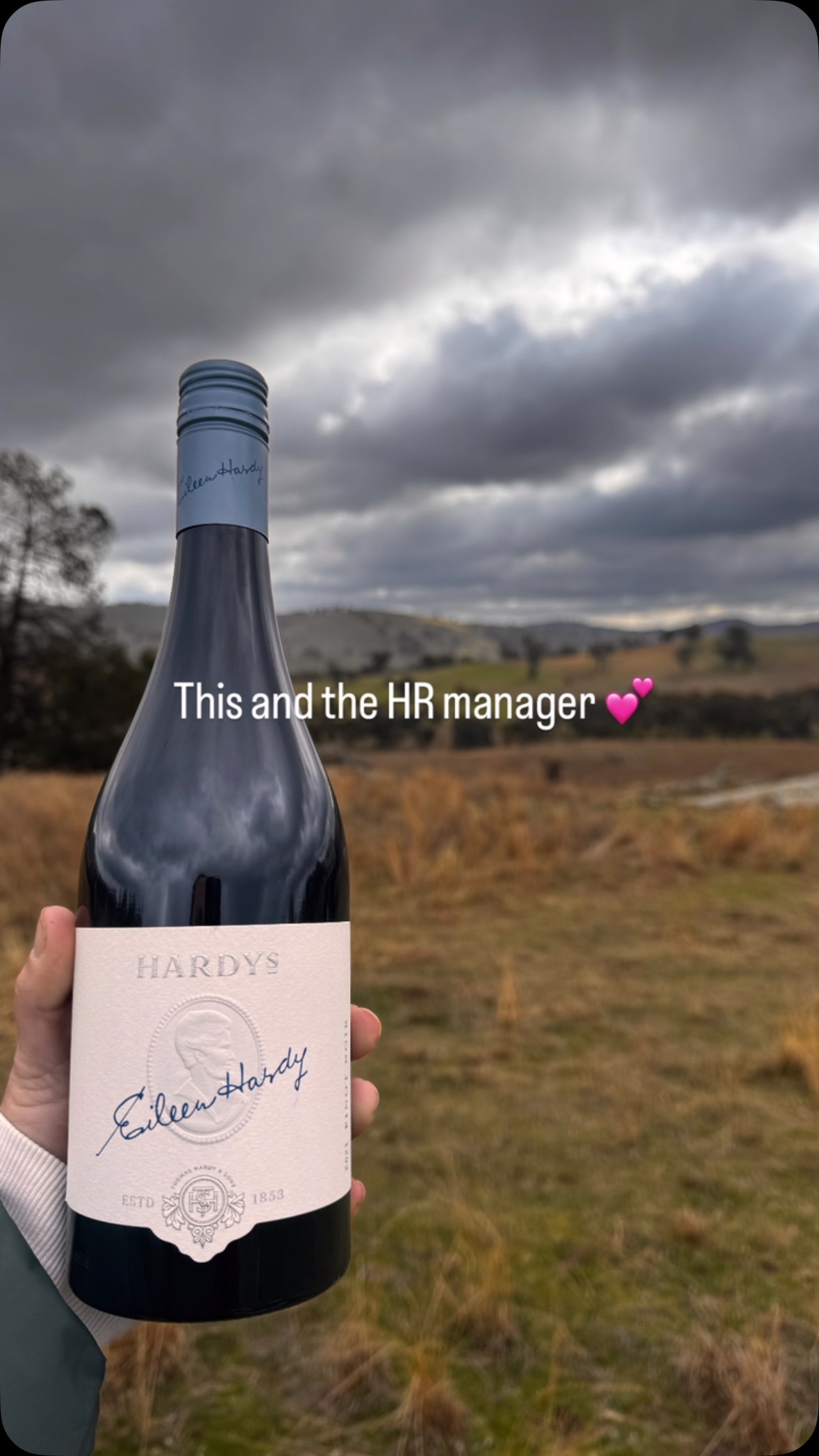Probs should have gone here and drank this instead of to a Coldplay concert! #coldplay #hr #eileenhardy #hardyswine #wineoclock #viral #meme