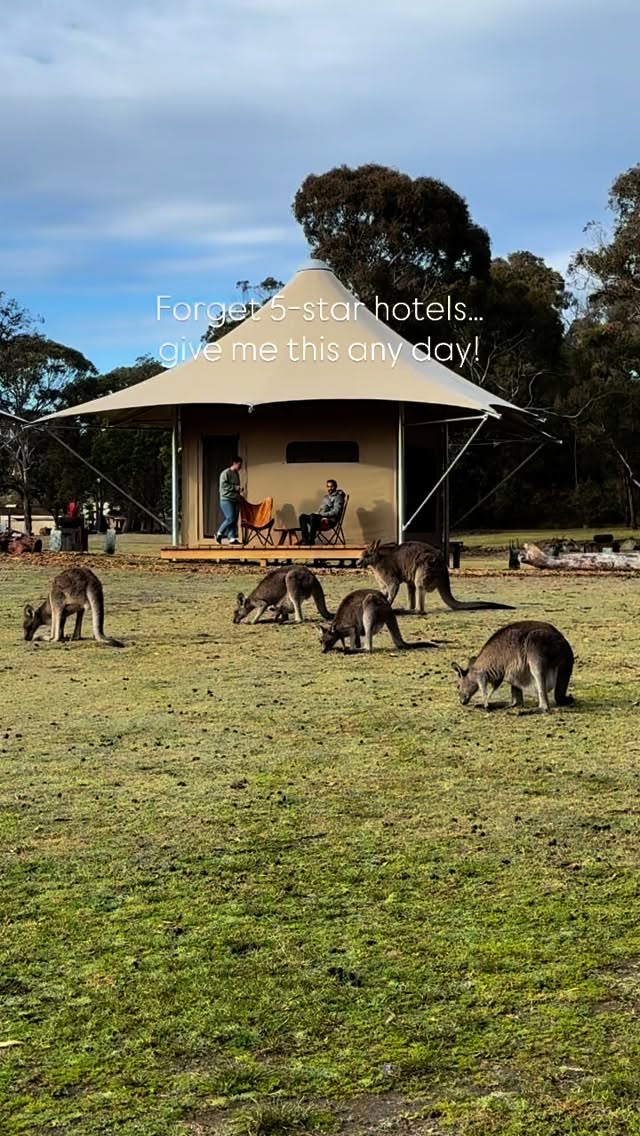 Waking up in the middle of nature with kangaroos as neighbours is an experience you just can’t put a price on. Australia, you never fail to amaze!
📍Tathra Beach Eco Camp