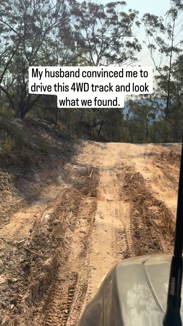A waterfall hidden in a national park not far from Coffs Harbour.

The 4WD track in is no joke — steep, technical and not something to take lightly.

This place deserves respect.

Leave no trace.

Follow @thefamilyfind for real adventures, not just the easy ones.