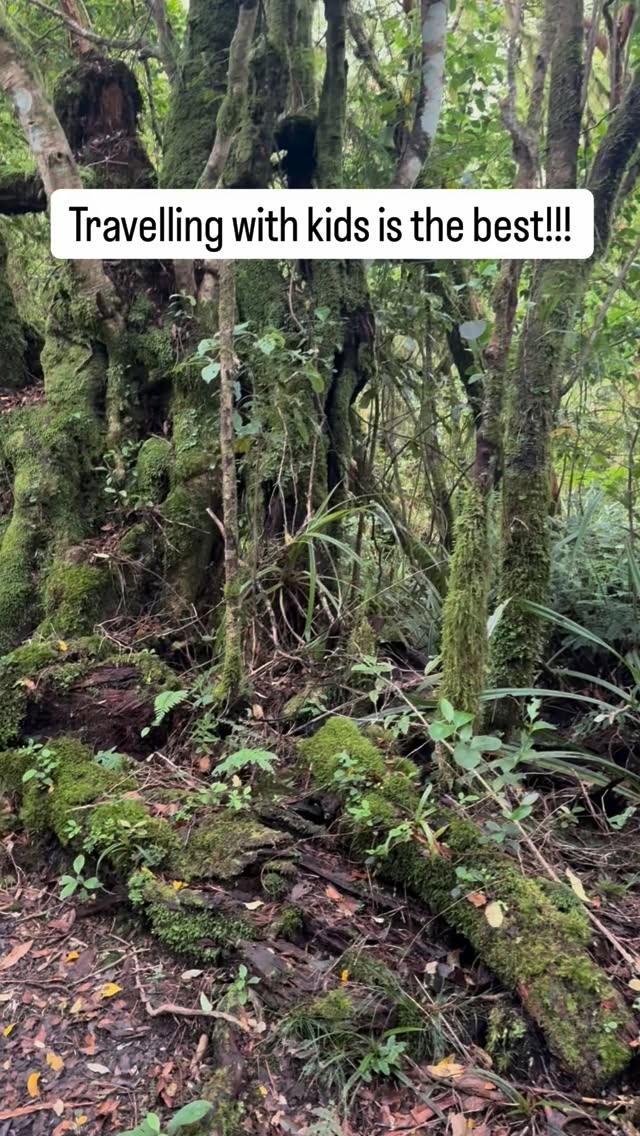 I bet you don’t believe us… 
But before we start be sure to give us a follow @thefamilyfind
We actually enjoy hiking with our kids. Mostly because the hike isn’t about reaching the end but enjoying the moments on the way. The chatter about worms and moss, playing ‘scare mum’, there’s so much laughter and you get to see the world through their eyes! Plus there’s always way more snacks 😜
What’s your thoughts on hiking with kids? 
Hiking │ Family Adventure │ Travel with Kids