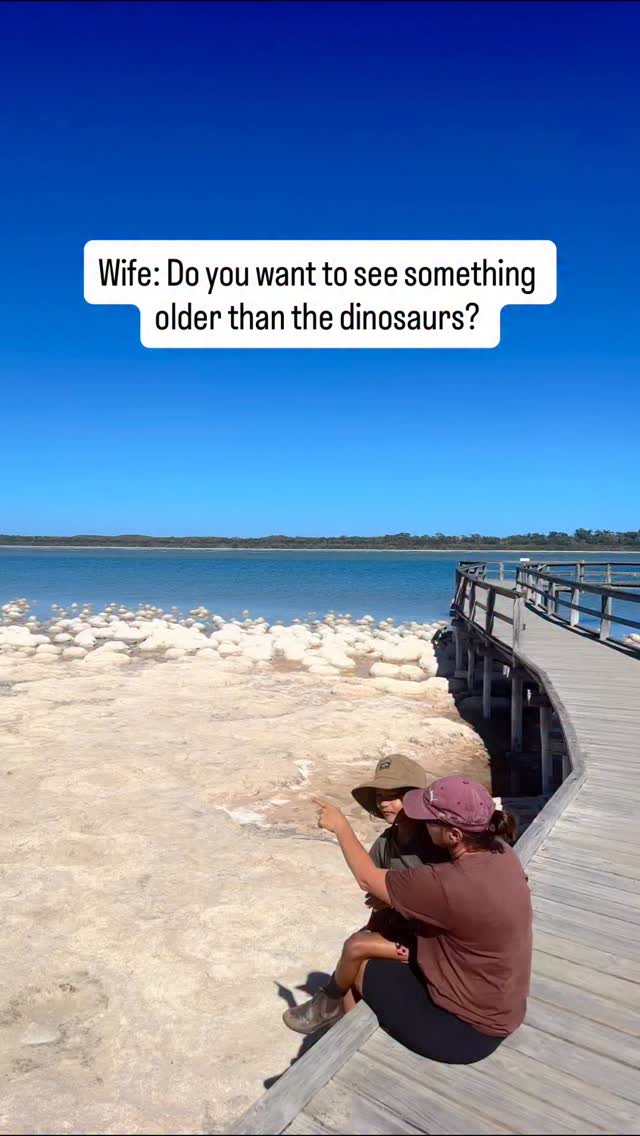 Just casually hanging out with organisms that are among the oldest on earth! 

Before we go on, follow @thefamilyfind for more family travel, hidden gems and epic adventures

Can you believe that these types of living fossils existed billions of years before dinosaurs were a thing? Still blows my mind!

This is  the Thrombolites 📍Lake Clifton, WA.
