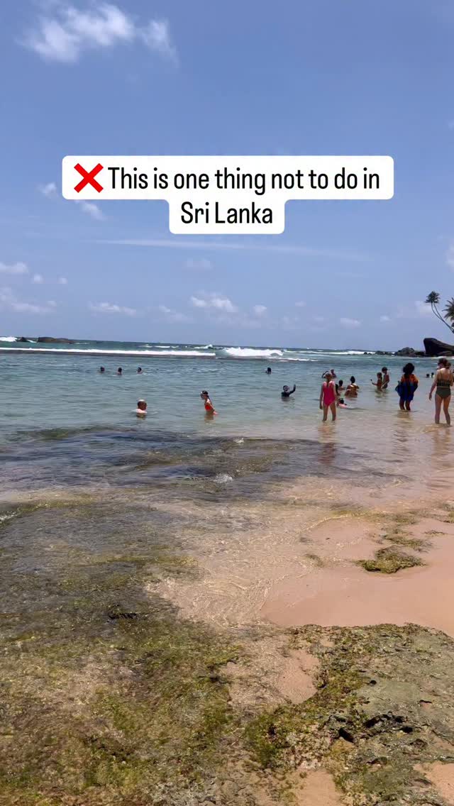 We absolutely loved a Sri Lanka, but it was a hard pass for us when we realised that the turtles were being fed, touched and even picked up when we visited Dalawella beach. We left walking up the beach and what we found instead was a super special experience that we had all to ourselves without impacting the beautiful turtles. 

If you’re new here, welcome! Be sure to follow along @thefamilyfind for more family adventure! 

If you’re new here, welcome! Be sure to follow along @thefamilyfind for more family adventure!