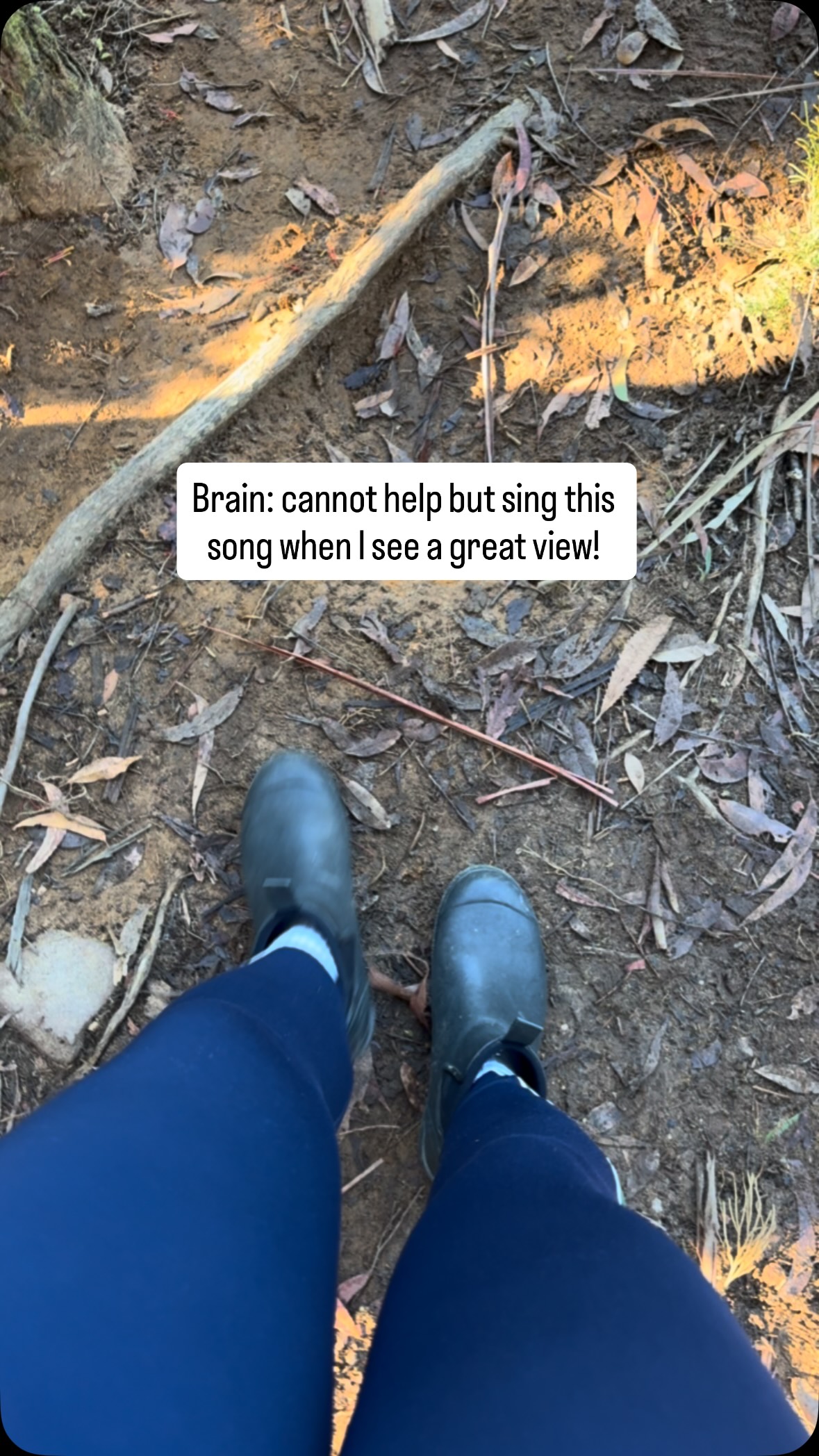 Who’s with me! @alexwarren consistently in my head every time we are hiking! 

Remember to follow @thefamilyfind for family-friendly adventures, hidden gems and travel inspo