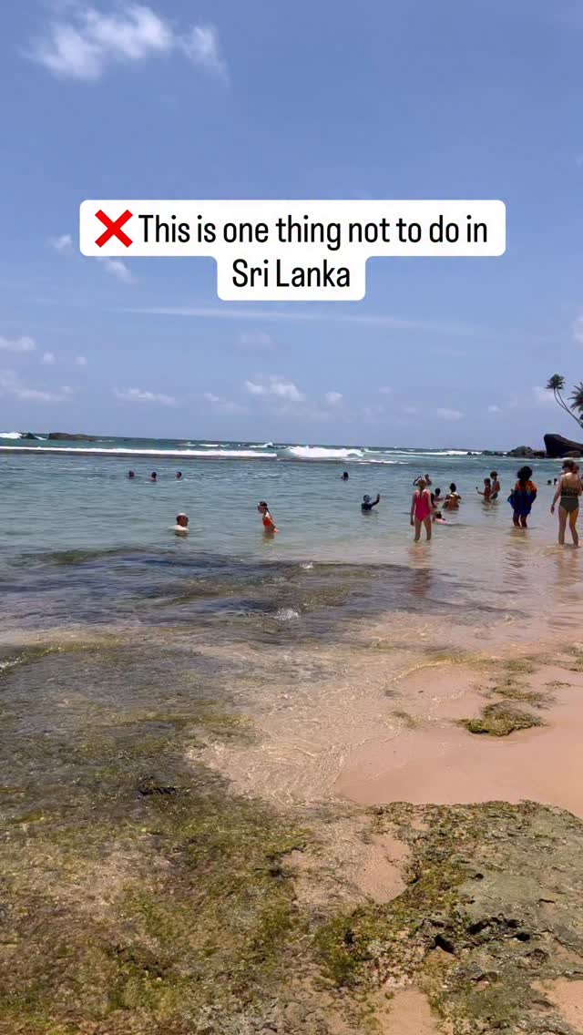 Swimming with sea turtles in Sri Lanka was a trip highlight. We were fortunate enough to do it twice, both times completely naturally. But please do it responsibly. Please don’t feed them and definitely don’t be touching them or picking them up! 

Be sure to follow along @thefamilyfind for more ethical family adventure