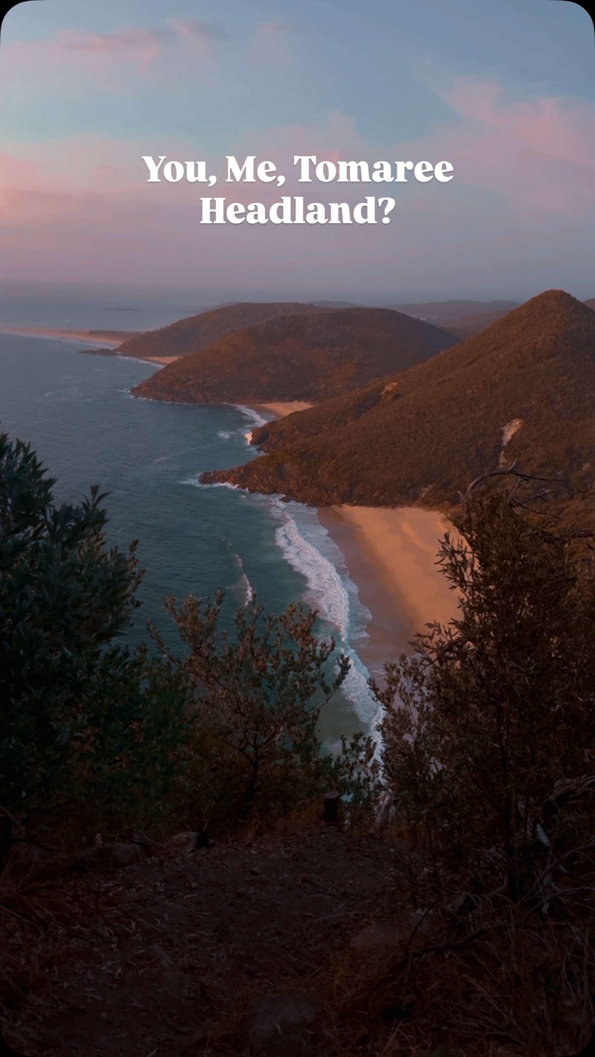 If you think getting up early for sunrise at the summit is overrated I’ll tell you now, you’re wrong about this hike! So many great spots in Shoal Bay, and Tomaree Head Summit Walk is definitely one not to be missed! 

Follow @thefamilyfind for more family travel inspo