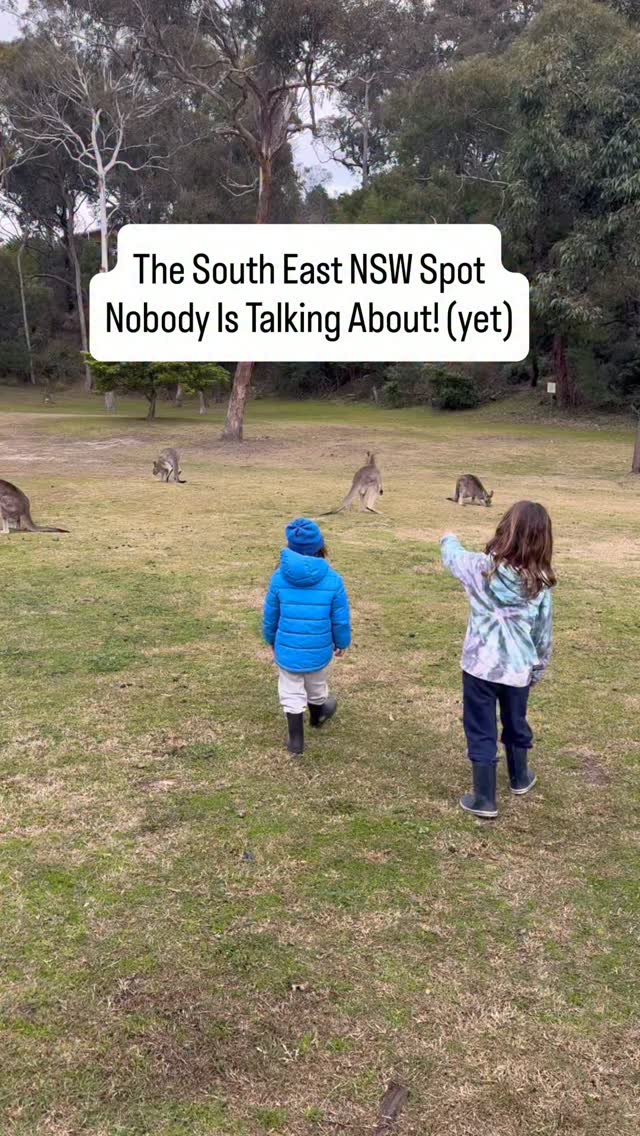 Still don’t understand why everyone isn’t obsessed with this tiny town and @tathrabeachecocamp 

Follow along @thefamilyfind for more family travel inspiration and adventure! 

Ps. Still the most bougie amenities block we have ever seen, yet you feel like your in the middle of a national park, but literally 2 minutes walk from the main street, with beach and kangaroos on the doorstep.