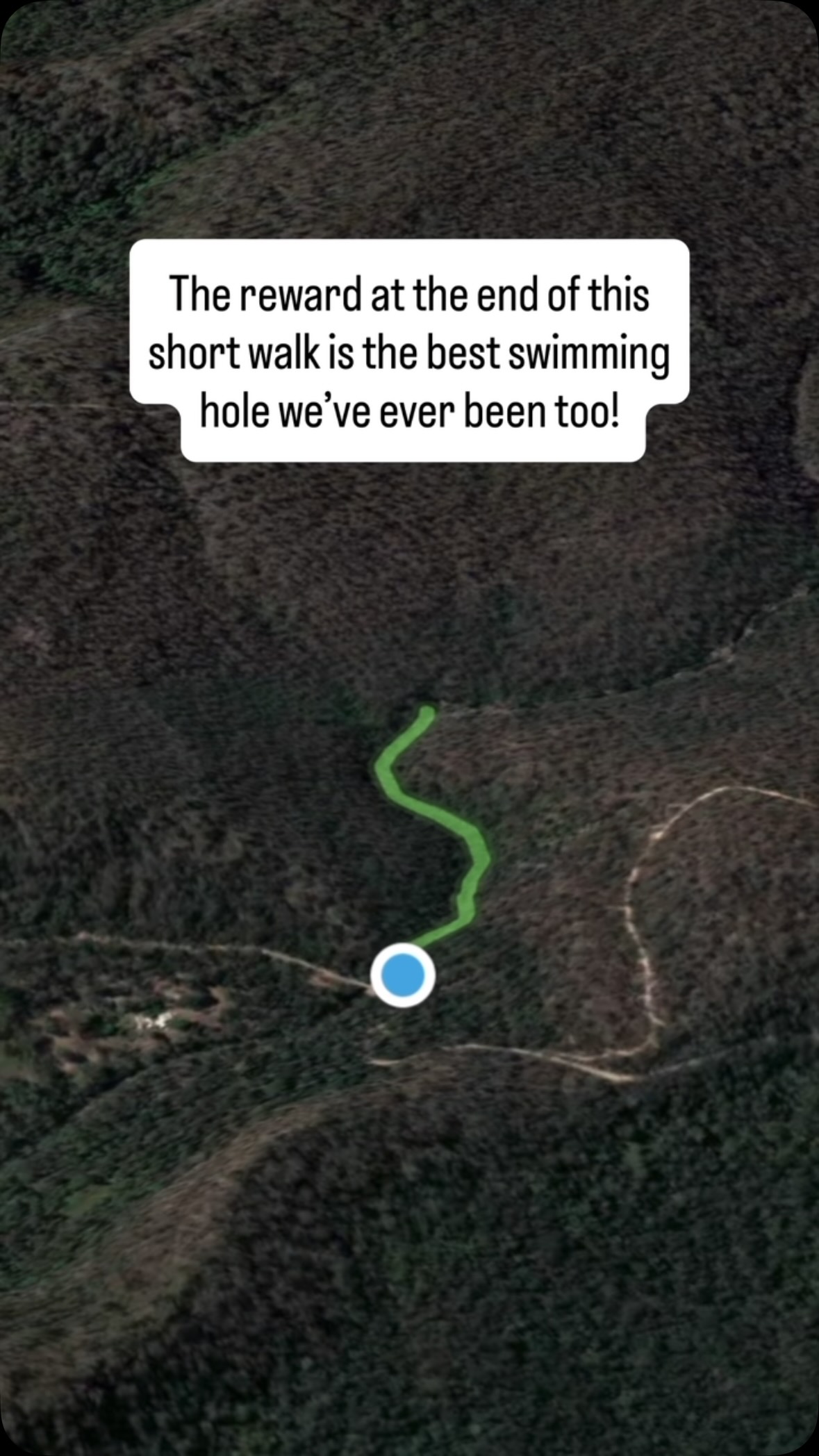 Not even exaggerating! Cannot wait to get back here for another swim! 

If this isn’t at the top of your list tell me what is? Im so keen to know!

If you want to know more about this short hike comment ‘SWIMMING’ below 

Don’t forget to give @thefamilyfind a follow for more family adventure and travel.
